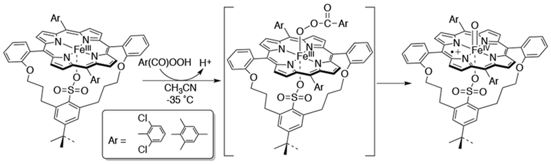 Scheme 11.