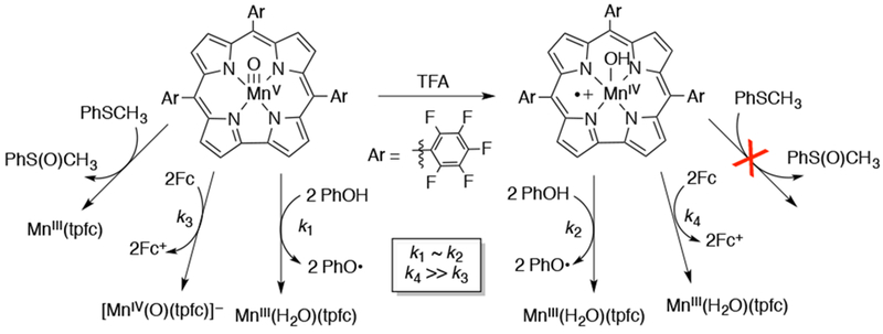 Scheme 37.