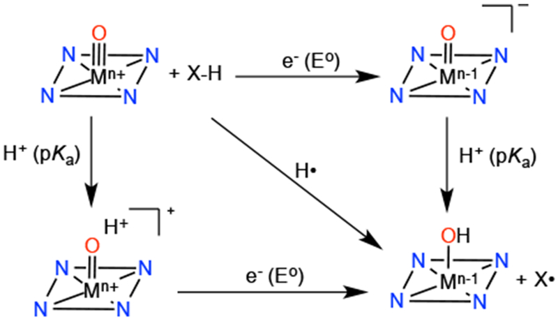 Scheme 5.