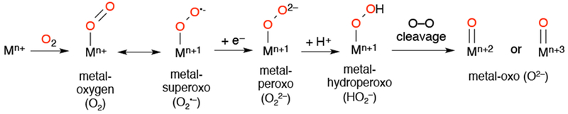 Scheme 1.