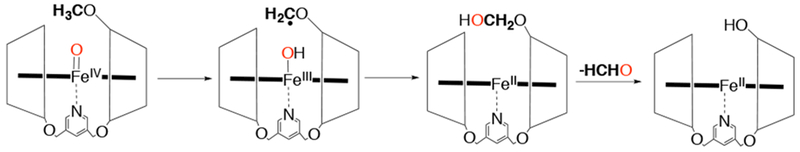 Scheme 20.