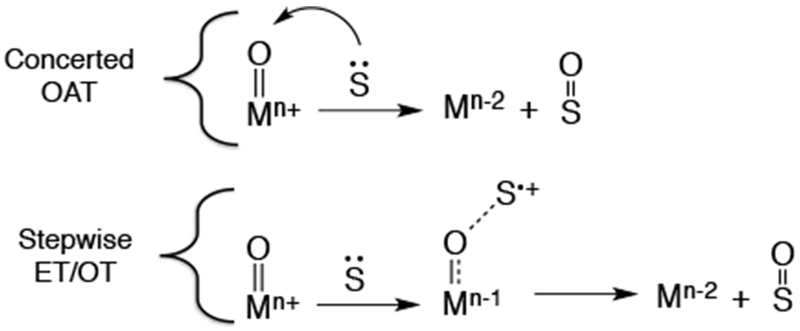 Scheme 4.