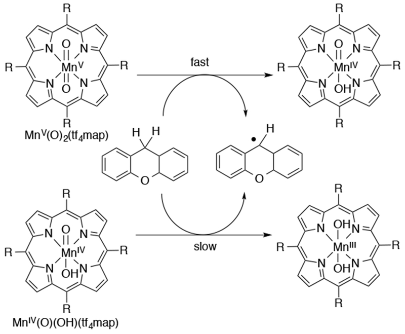 Scheme 31.