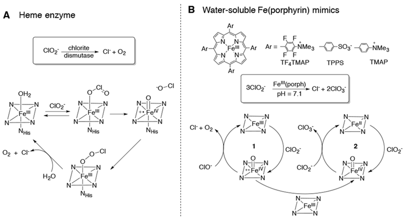 Scheme 14.