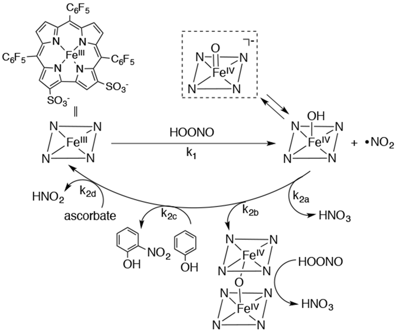 Scheme 23.