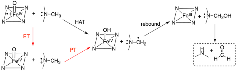 Scheme 16.