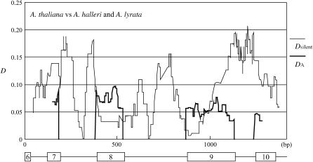 Figure 4.—