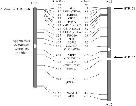 Figure 2.—