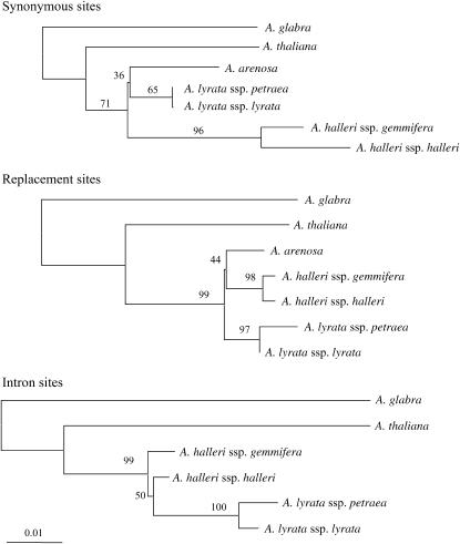 Figure 5.—