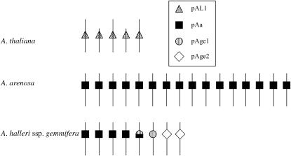 Figure 1.—