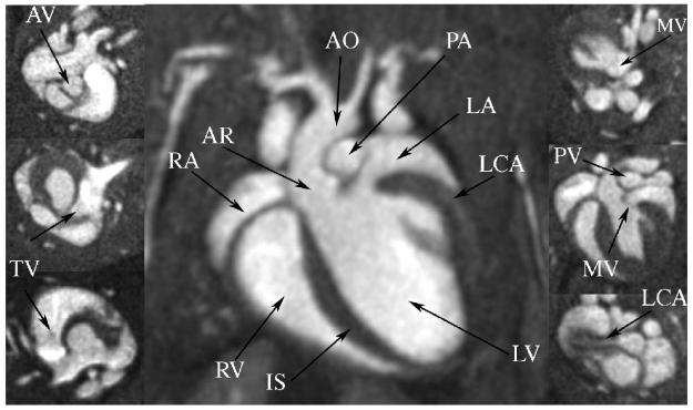 Figure 7