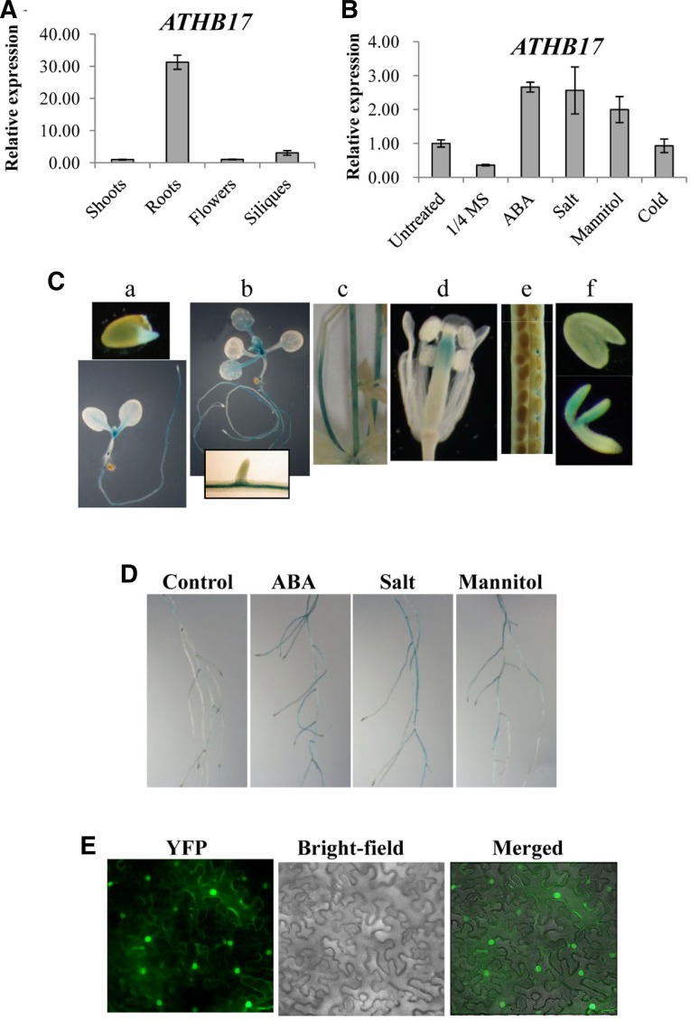 Fig. 6.