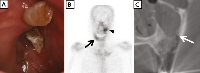 Fig. 5