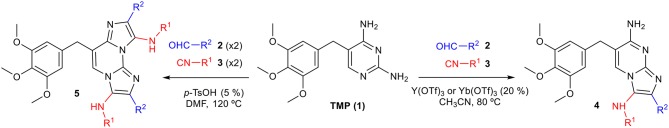 Scheme 3