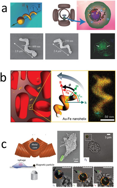 Figure 14