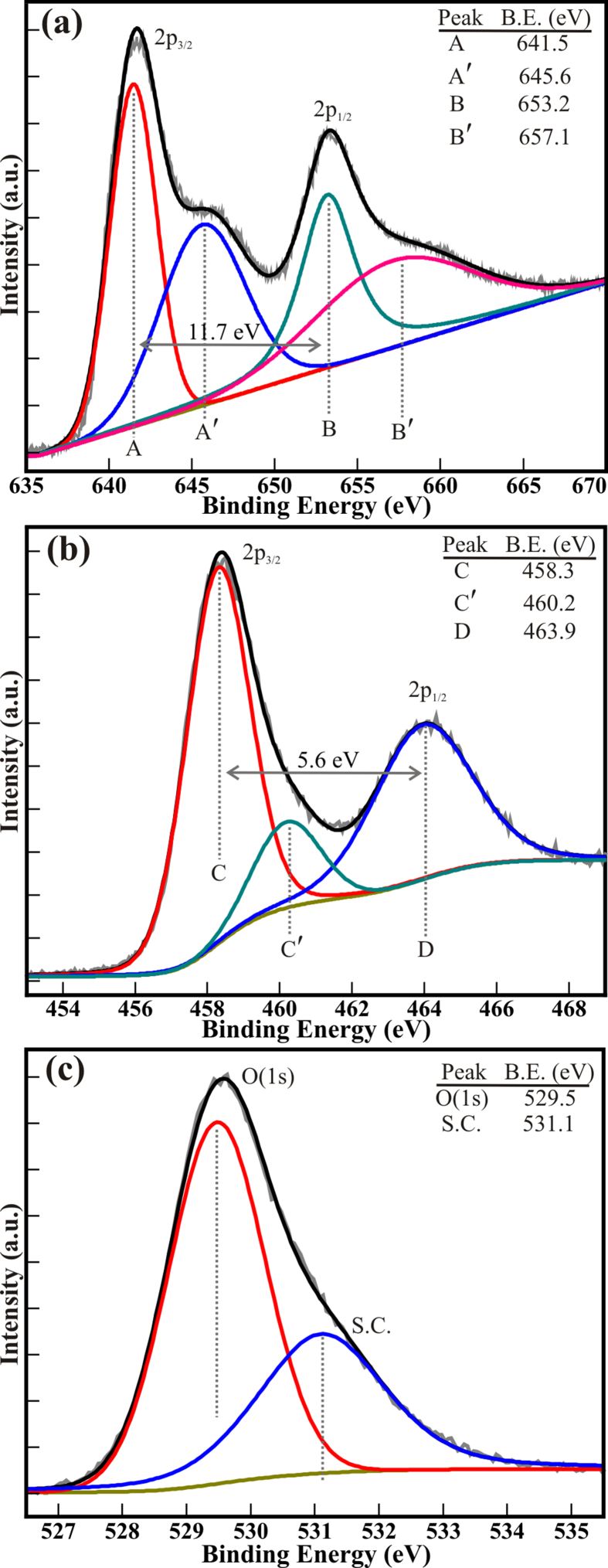 Figure 3
