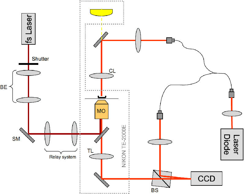 Fig. 1