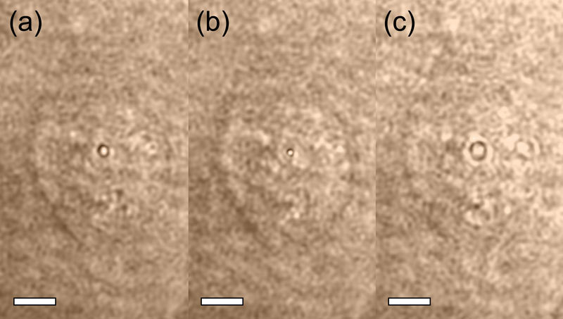 Fig. 2