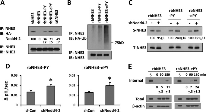 FIGURE 10.