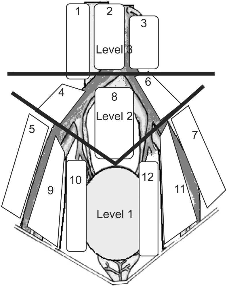 Fig. 2