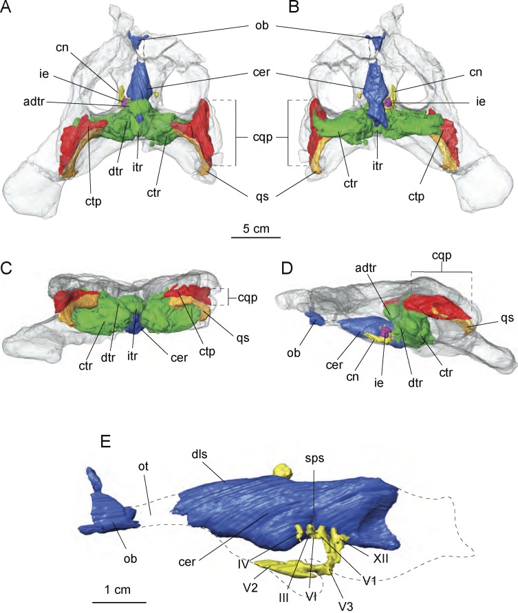 Figure 7