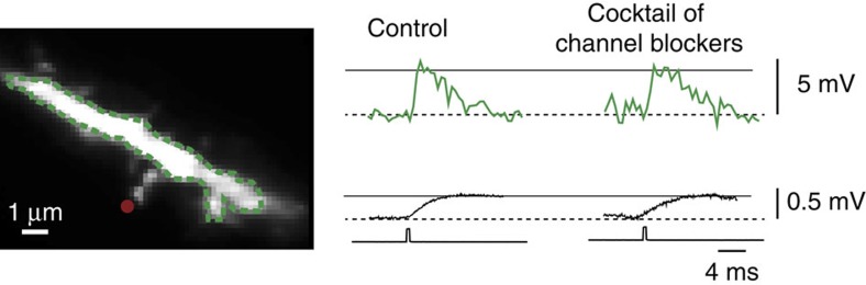 Figure 7