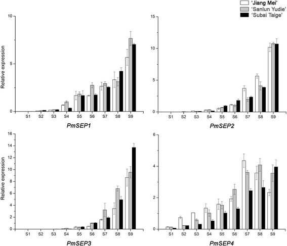 Fig. 4