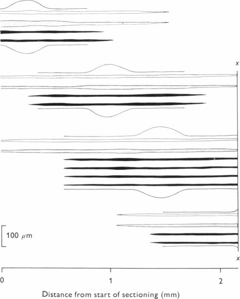 Fig. 13