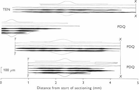 Fig. 12