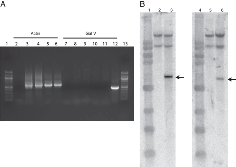 FIGURE 3