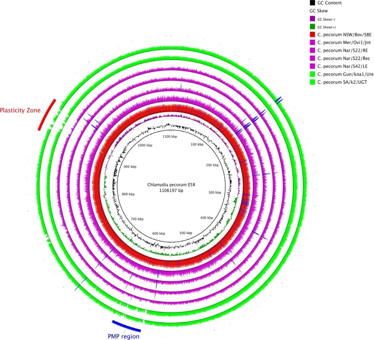 FIG 1