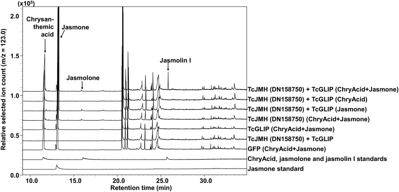 Figure 4.