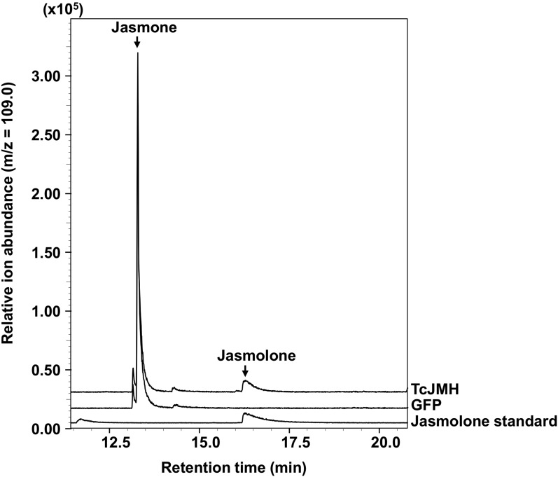 Figure 6.