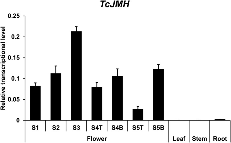 Figure 7.