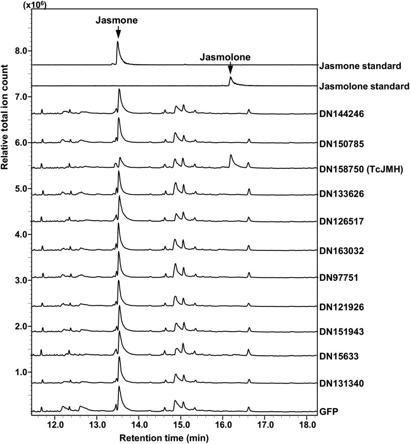 Figure 3.