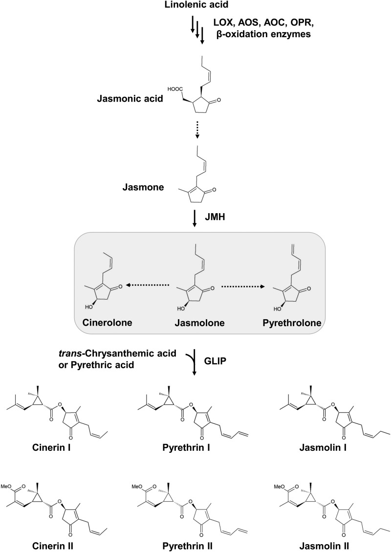 Figure 1.