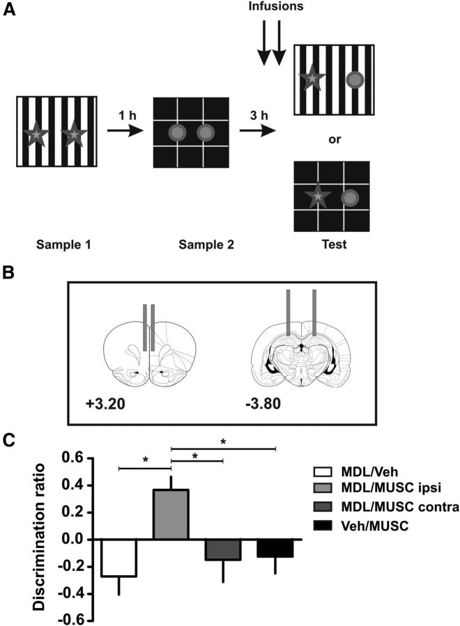 Figure 6.