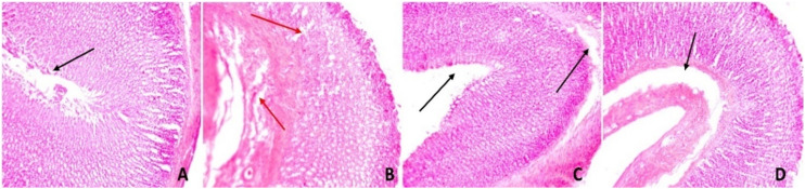 Fig. 5