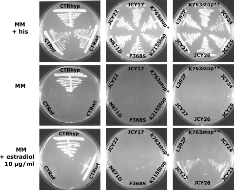 FIG. 7.