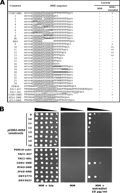 FIG. 3.