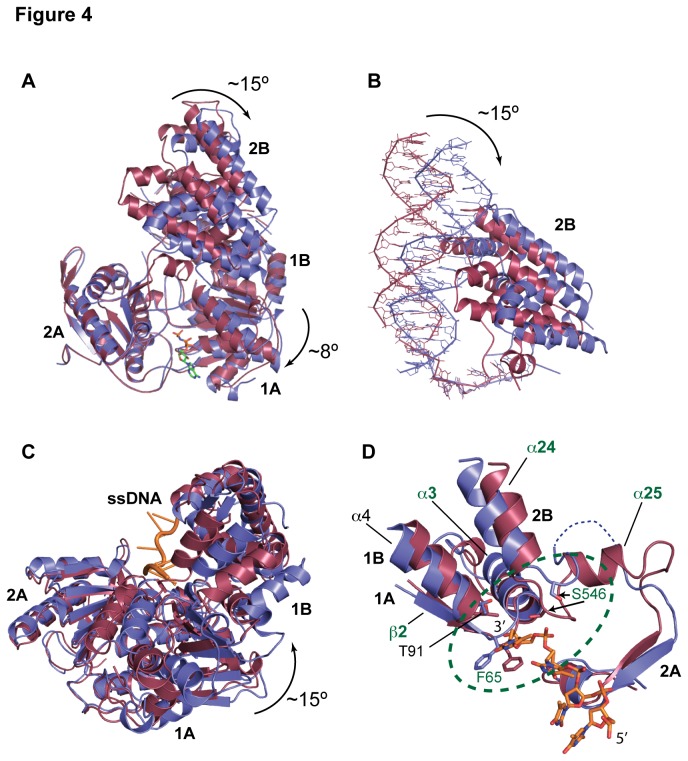 Figure 4