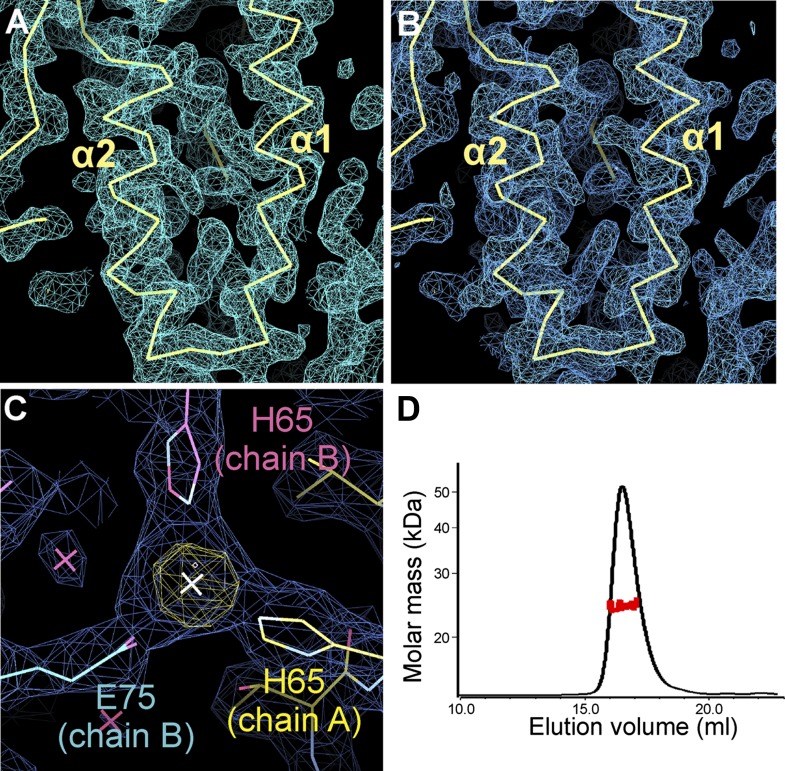 Figure 5—figure supplement 1.