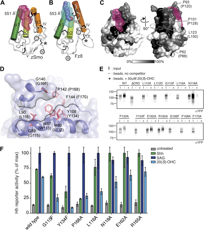 Figure 6.