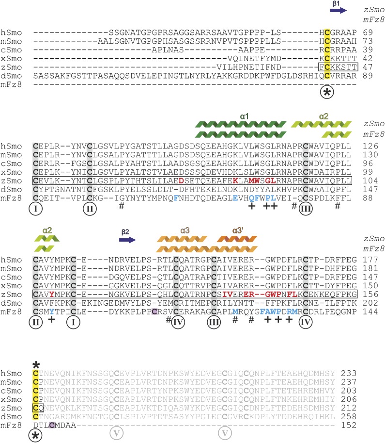 Figure 5—figure supplement 2.