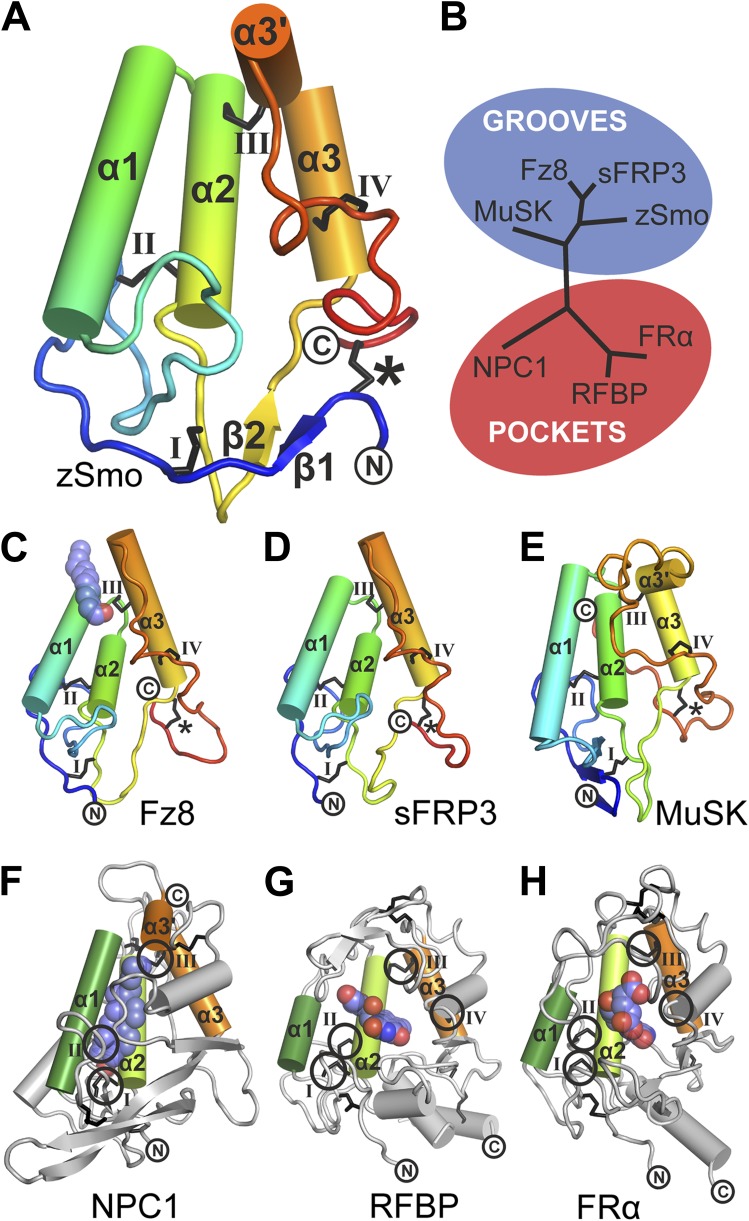 Figure 5.