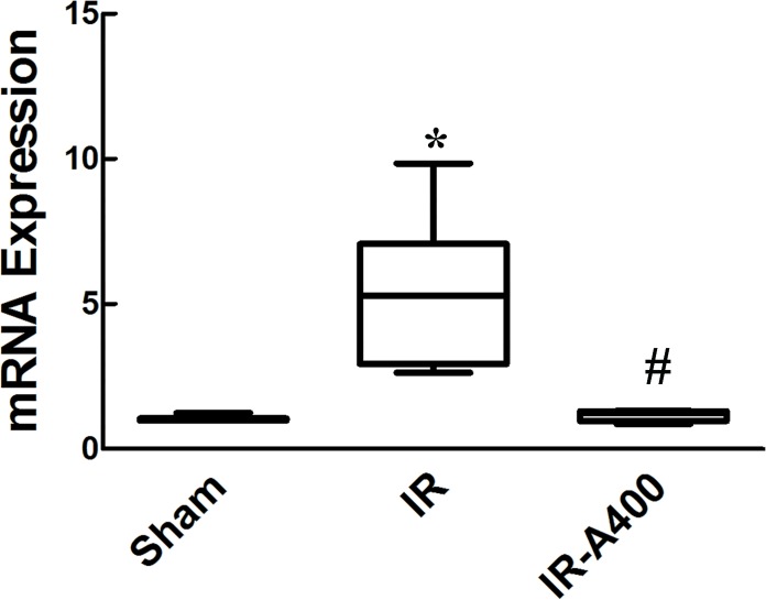 Fig 11