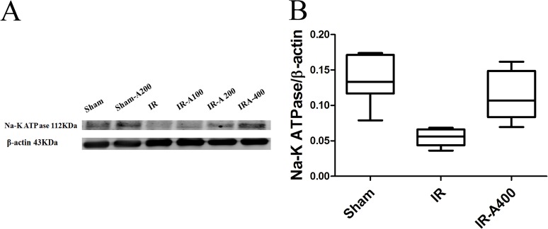 Fig 14