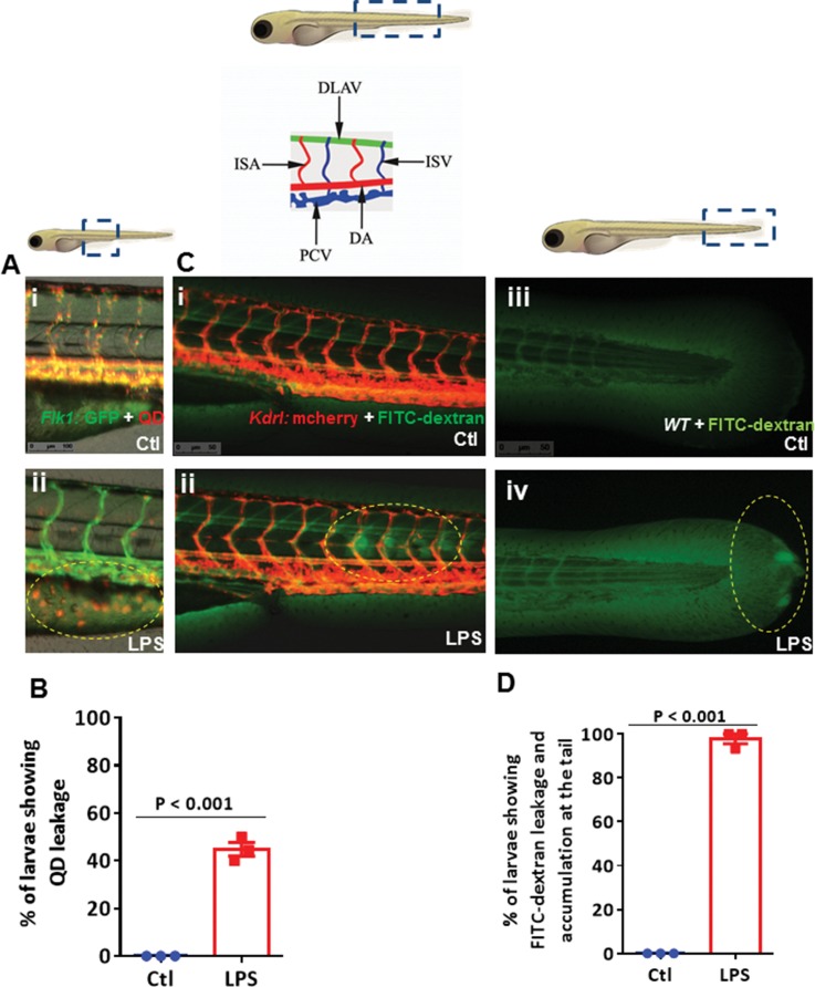 Figure 2.