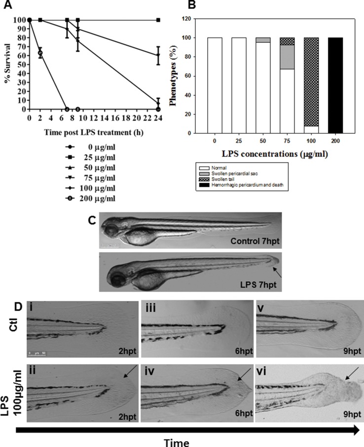 Figure 1.