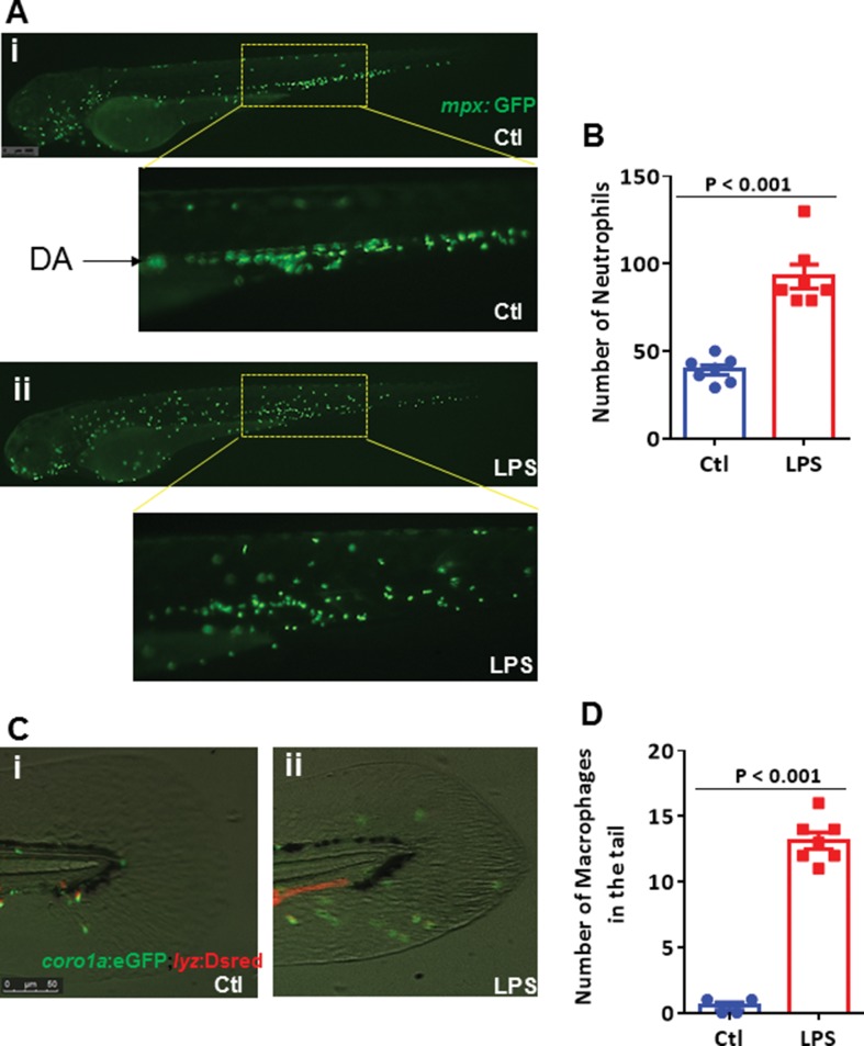 Figure 4.